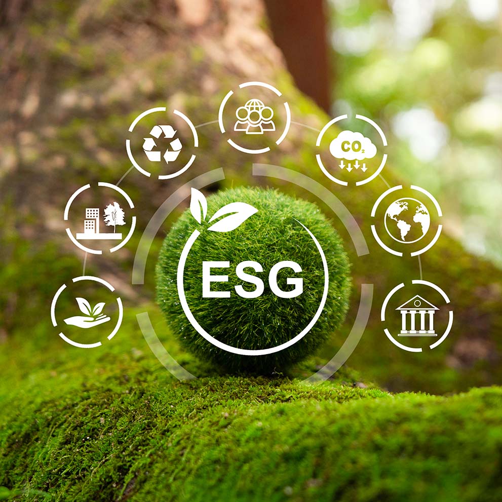 El Comité de Sostenibilidad: un nuevo órgano corporativo para las cuestiones ESG